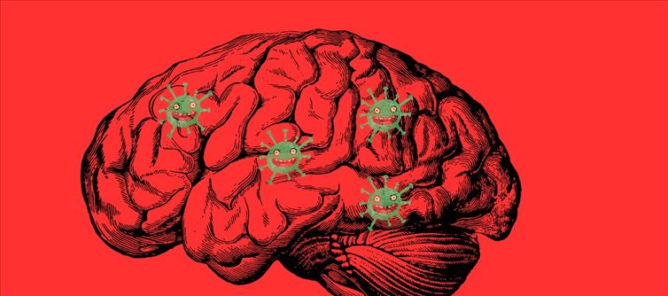 Alarming Upward Push In Microplastics Discovered In Human Brain Tissue