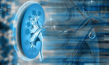 Ability of kidney to maintain water balance is vital to our health