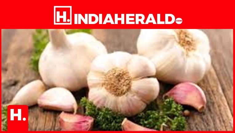 How to identify fake and Chinese garlic? Five easy tips!