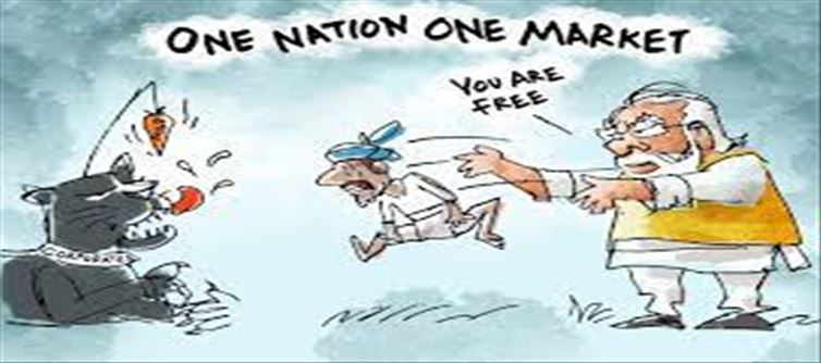Narendra Modi: Opinion from common man to leaders, Farm Laws...!