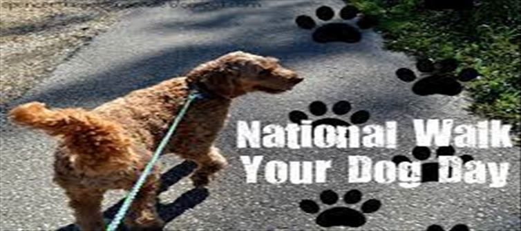 National Walk Your Dog Day: Amazing advantages!!!