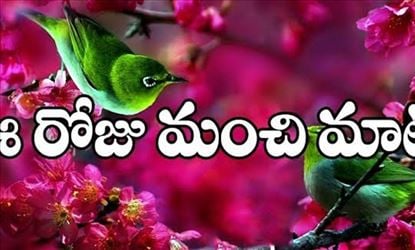 మంచి మాట: ప్రయత్నం చేసి ఓడిపో కానీ ప్రయత్నం చెయ్యడంలో మాత్రం ఓడిపోవద్దు