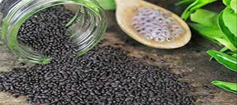 ప్రతిరోజు సబ్జా గింజలు ఎన్ని తీసుకోవాలో తెలుసా..?