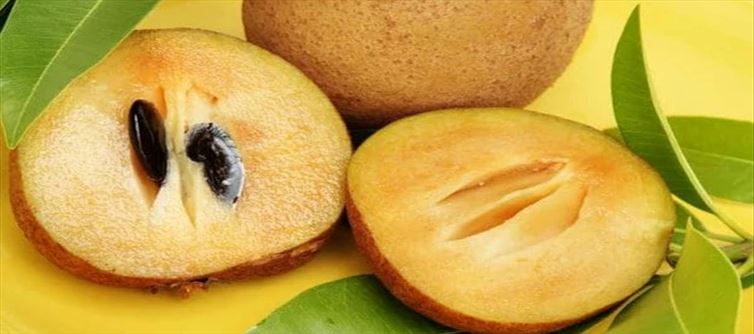 సపోటా వల్ల ఇన్ని ప్రయోజనాలా..?
