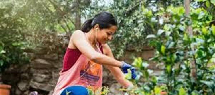 వానాకాలంలో ఇంట్లో తప్పనిసరిగా పెంచుకోవాల్సిన మొక్కలు ఇవే..!