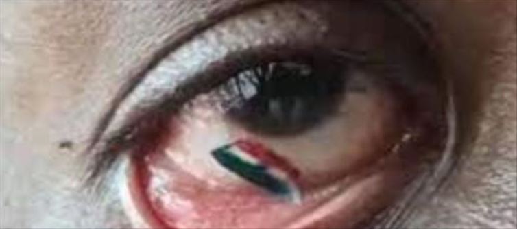 Tricolour made near the Iris of an eye.!!!