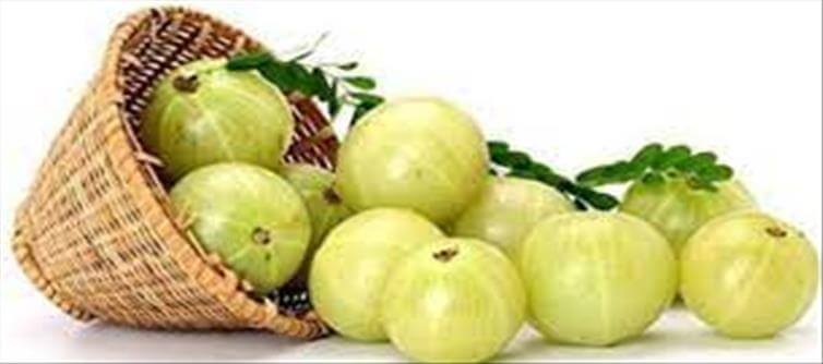 ఉసిరి వల్ల ఎన్ని ఆరోగ్య ప్రయోజనాలో..?