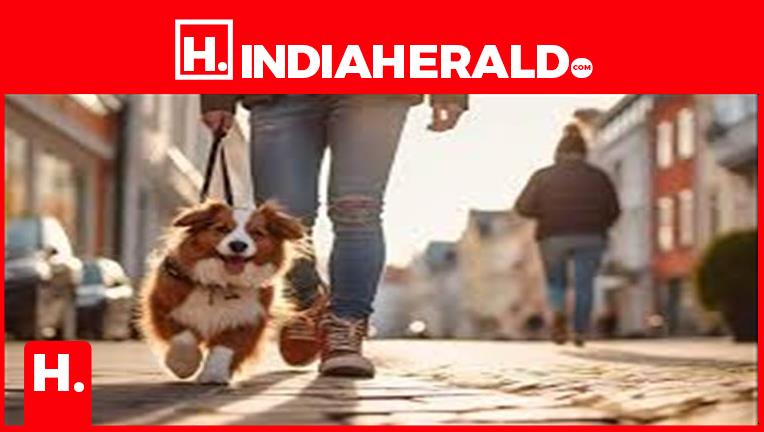Where is tax imposed on keeping a dog?