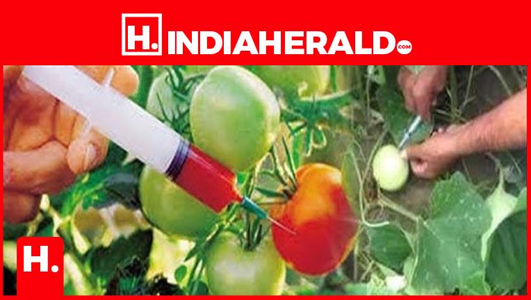 Which injection farmers use to make vegetables grow quickly?