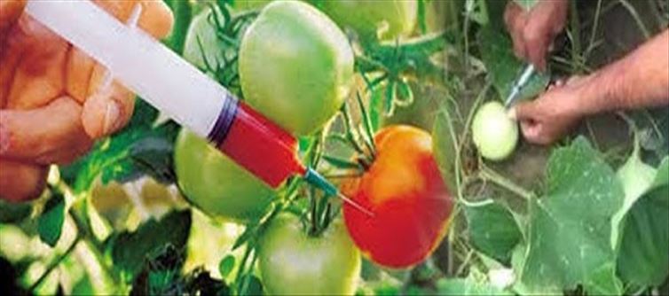 Which injection farmers use to make vegetables grow quickly?