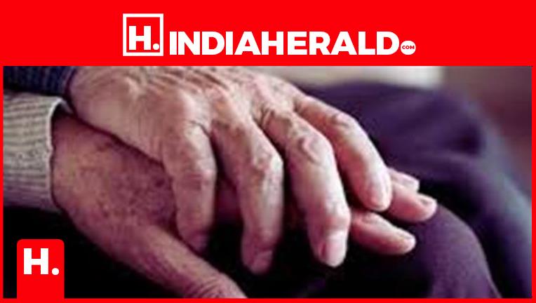 Great News for Senior Citizens! Get 8.25% Interest on FDs at These Banks