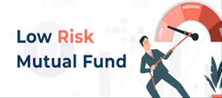 Large, Mid, Small, Flexi and Value Funds, which has least risk!