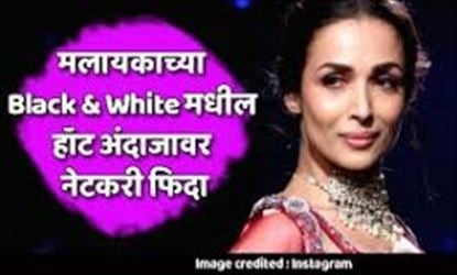 मलायकाच्या Black & White मधील हॉट अंदाजावर नेटकरी फिदा