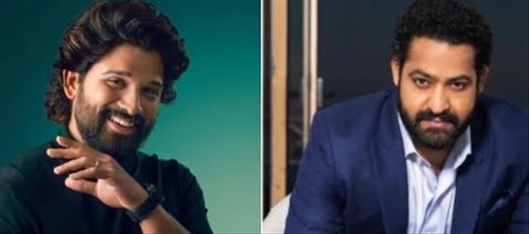 బన్నీ.. తారక్ రిజెక్ట్ చేశారు.. ఆ హీరోకి బ్లాక్‌బస్టర్..?
