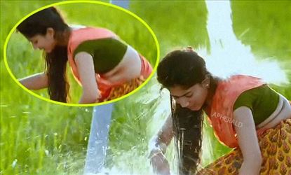 சசிகலா ஆகும் சாய் பல்லவி? 