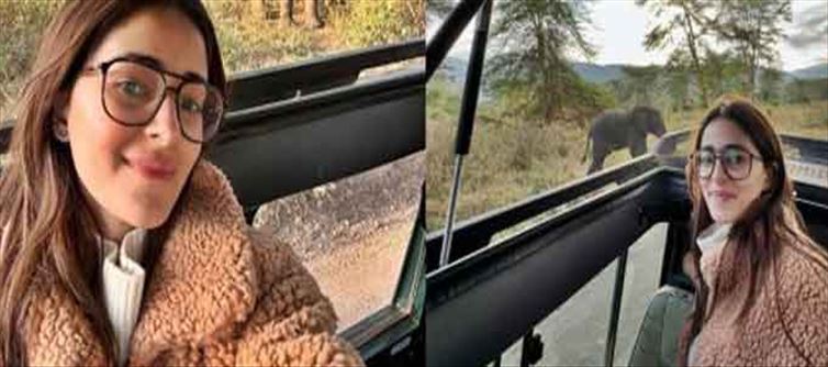 Ananya Panday hopped on to Ngorongoro Conservation Area to relax