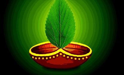 హరిత దీపావళి - సర్వ శుభదాయని !