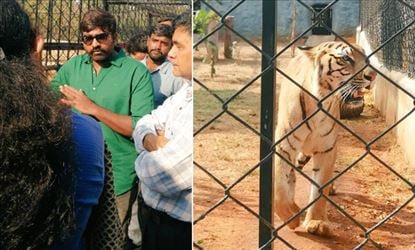 புலிகளுக்கு ஆதரவளித்த விஜய் சேதுபதி!
