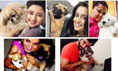 Kollywood actors with their pets