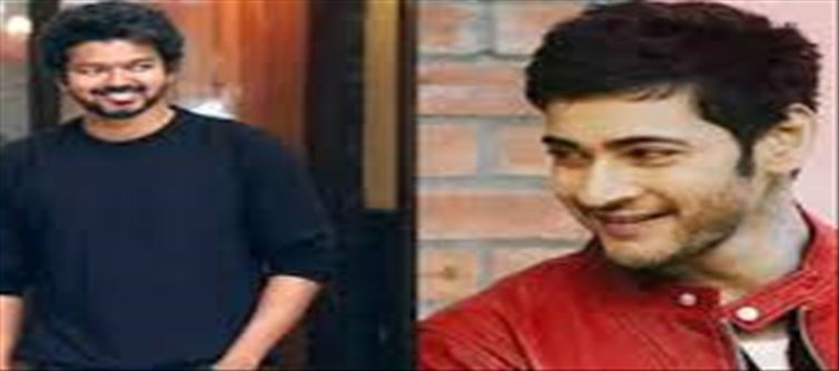 Mahesh Babu and Vijay Multistarrer movie just miss..!?
