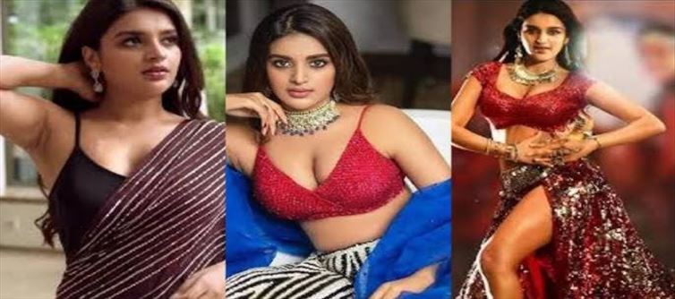 వావ్ : మరో క్రేజీ ఆఫర్ పట్టేసిన ఇస్మార్ట్ బ్యూటీ..!!