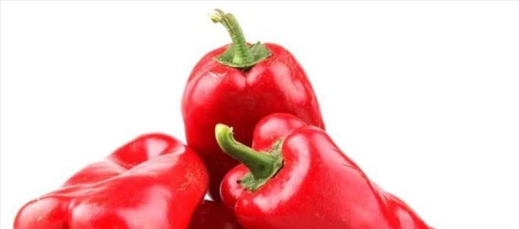 Red chillies are best for blood clotting!