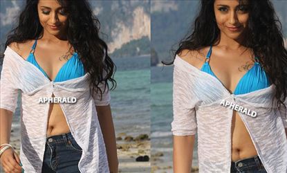 Trisha's next after Diwali