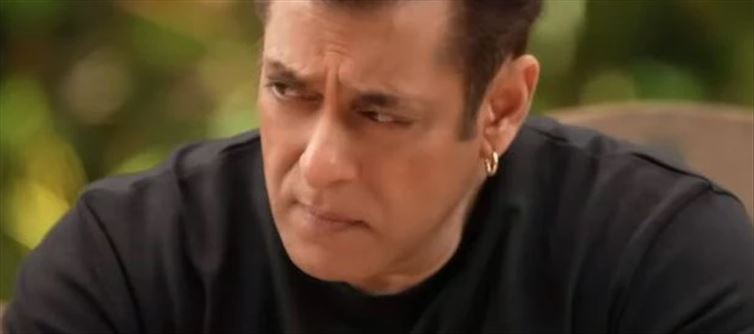 Salman's Big Allegation On South's Target Audience: Genuine?