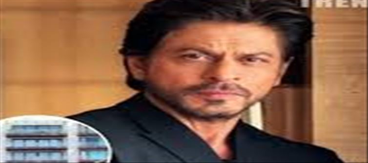 Shahid Kapoor's heart has been broken many times
