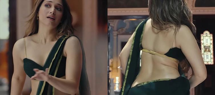 Tamannaah Glamour made Family Audience uncomfortable in F3