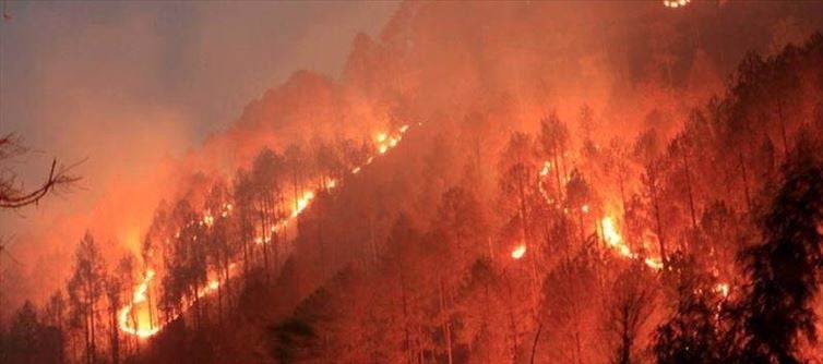 उत्तराखंड में 40 सक्रिय जंगल की आग, आईएएफ ने मदद भेजी