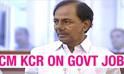KCR gets 'job classes' from the Professor