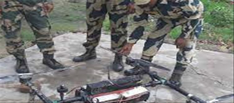Naxalites attacked former BJP sarpanch with a sharp weapon
