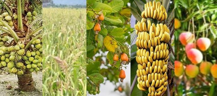 Andhra Pradesh aspires to be the most sought in these areas..!?