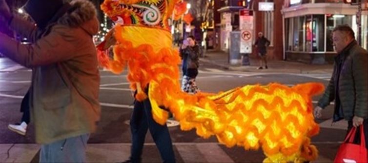 Celebrations throughout 10 u.s. Cities mark the 'year of the snake'