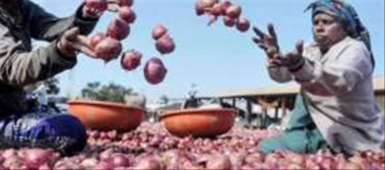 Centre Withdraws 20 Percent Export Obligation On Onion From April 1