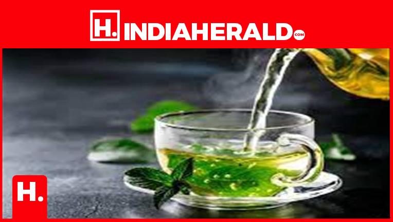 does-drinking-green-tea-after-meals-help-you-lose-weight
