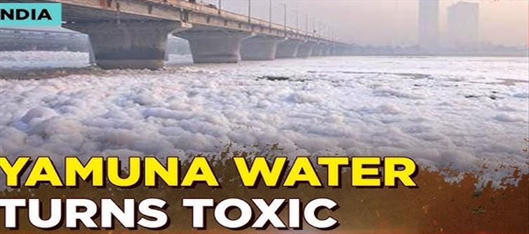 Harm in Ammonia level increased in River Yamuna?