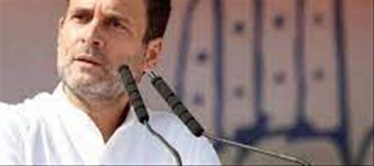 Congress workers do not have the ability to be leaders?
