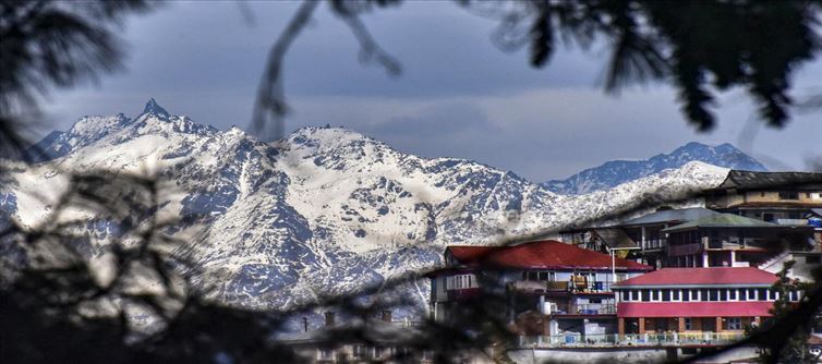 In Shimla, record of heat been broken in the cold weather of January
