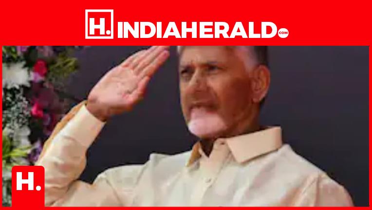 INDIA Bloc's Vice President Pick Puts TDP In Tight Spot ..