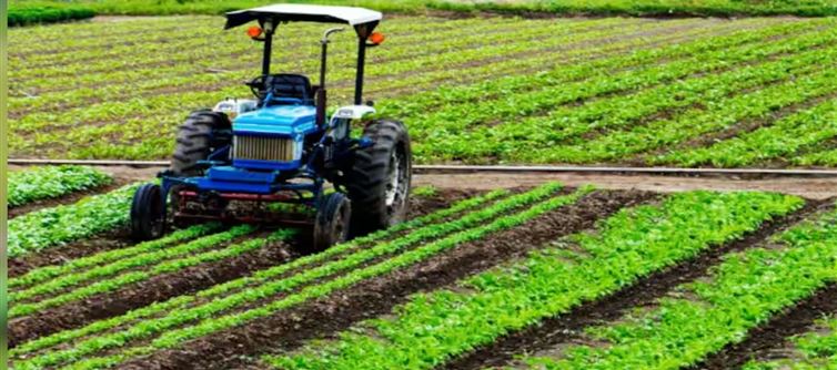 India's Agricultural Sector May Additionally Escape The Foremost Losses From Trump's Tariffs