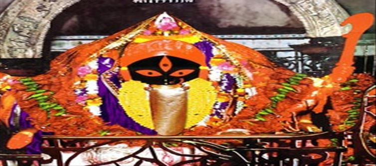 খুলল কালীঘাট মন্দির