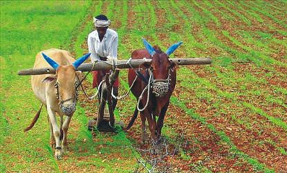 All you need to know about Rs 80,000 Crores World's Biggest Kaleshwaram Irrigation Project 