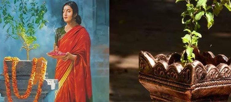 Know the importance of Tulsi Pujan which is sacred in Sanatan Dharma