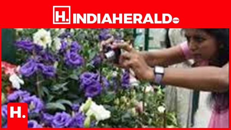 Local Holiday Declared in Nilgiris District Tomorrow