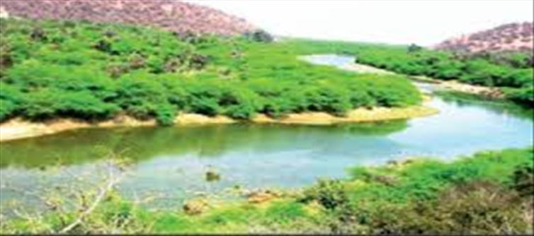 Now 'Eco Tourism Destination' for foreign guests in Rajasthan!!!