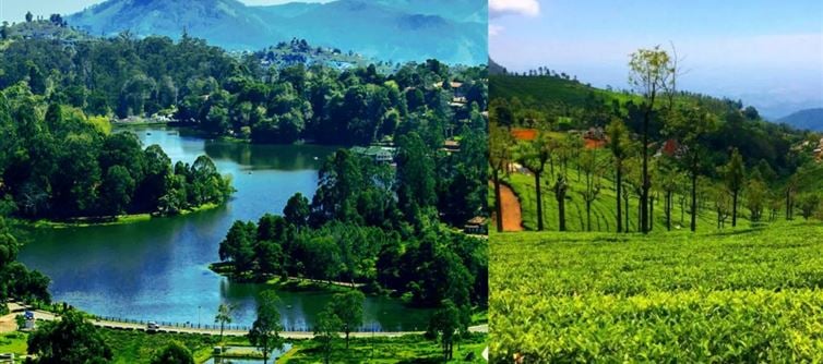 തമിഴ്നാട്ടിലേക്ക് ഈ 28 പ്ലാസ്റ്റിക് ഉത്പന്നങ്ങൾ നിരോധിച്ചിരിക്കുന്നു!