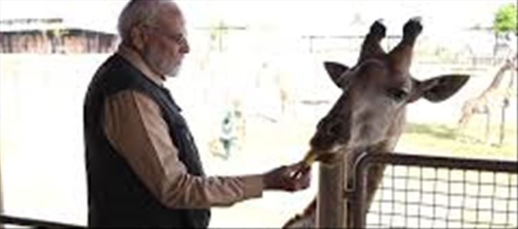 PM Modi inaugurated Vantara Wildlife, fed cubs!