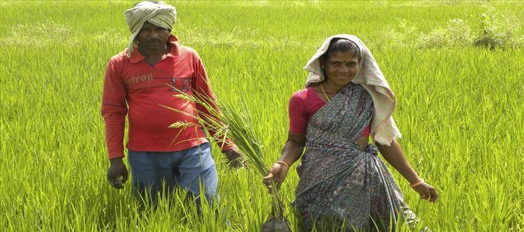 రైతన్నకు శుభవార్త :త్వరలో రుణమాఫీ..!